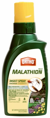vassartruevalue4153227