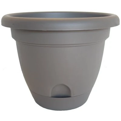 vassartruevalue4231582