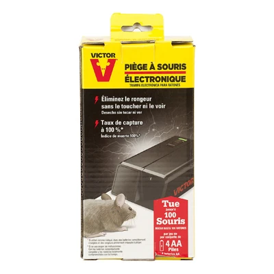 vassartruevalue4241776