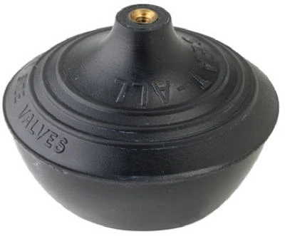 vassartruevalue4381089