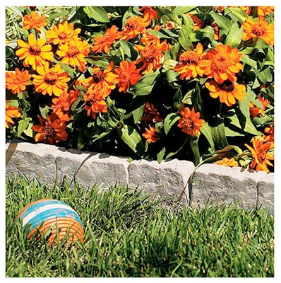 vassartruevalue4675488