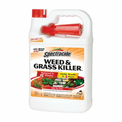 vassartruevalue4879253