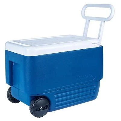 vassartruevalue4900479