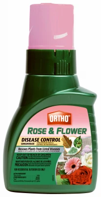 vassartruevalue4929191