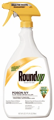 vassartruevalue5218504