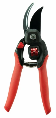 vassartruevalue5254844