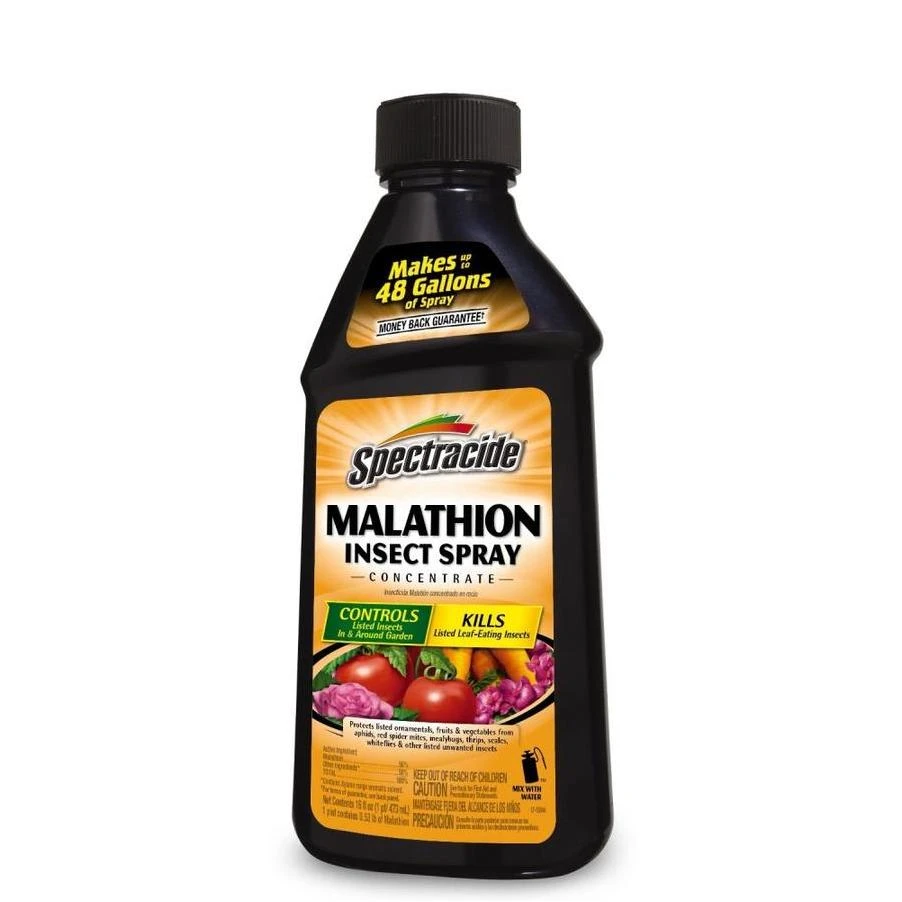 vassartruevalue5312155