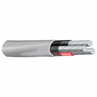 vassartruevalue5351193