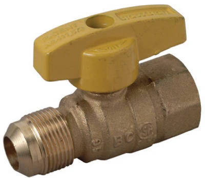 vassartruevalue5431051