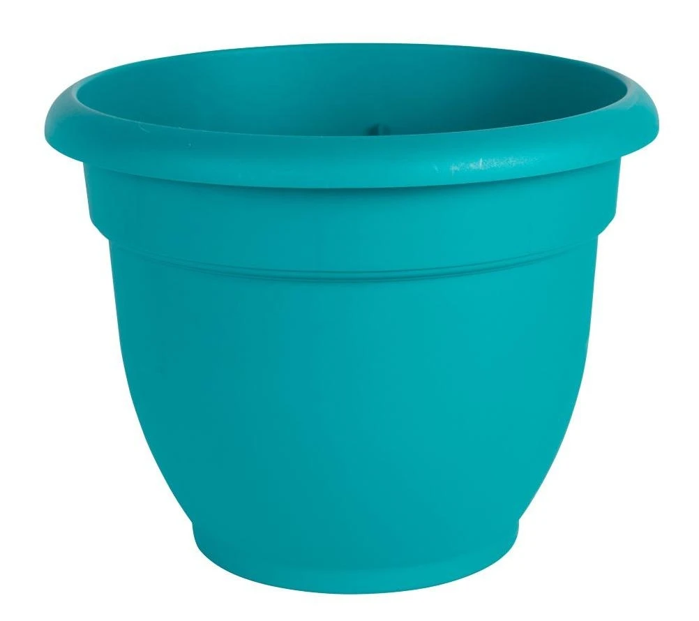 vassartruevalue5570390