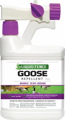 vassartruevalue5770087