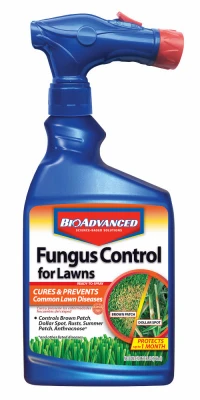 vassartruevalue5785147