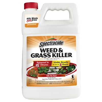 vassartruevalue5914338