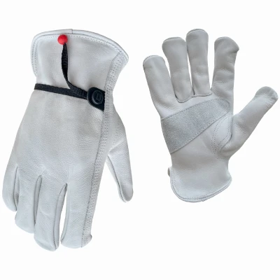 vassartruevalue6001581