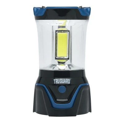 vassartruevalue6008973