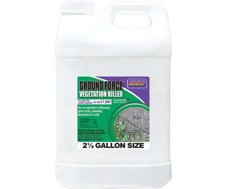 vassartruevalue6019896