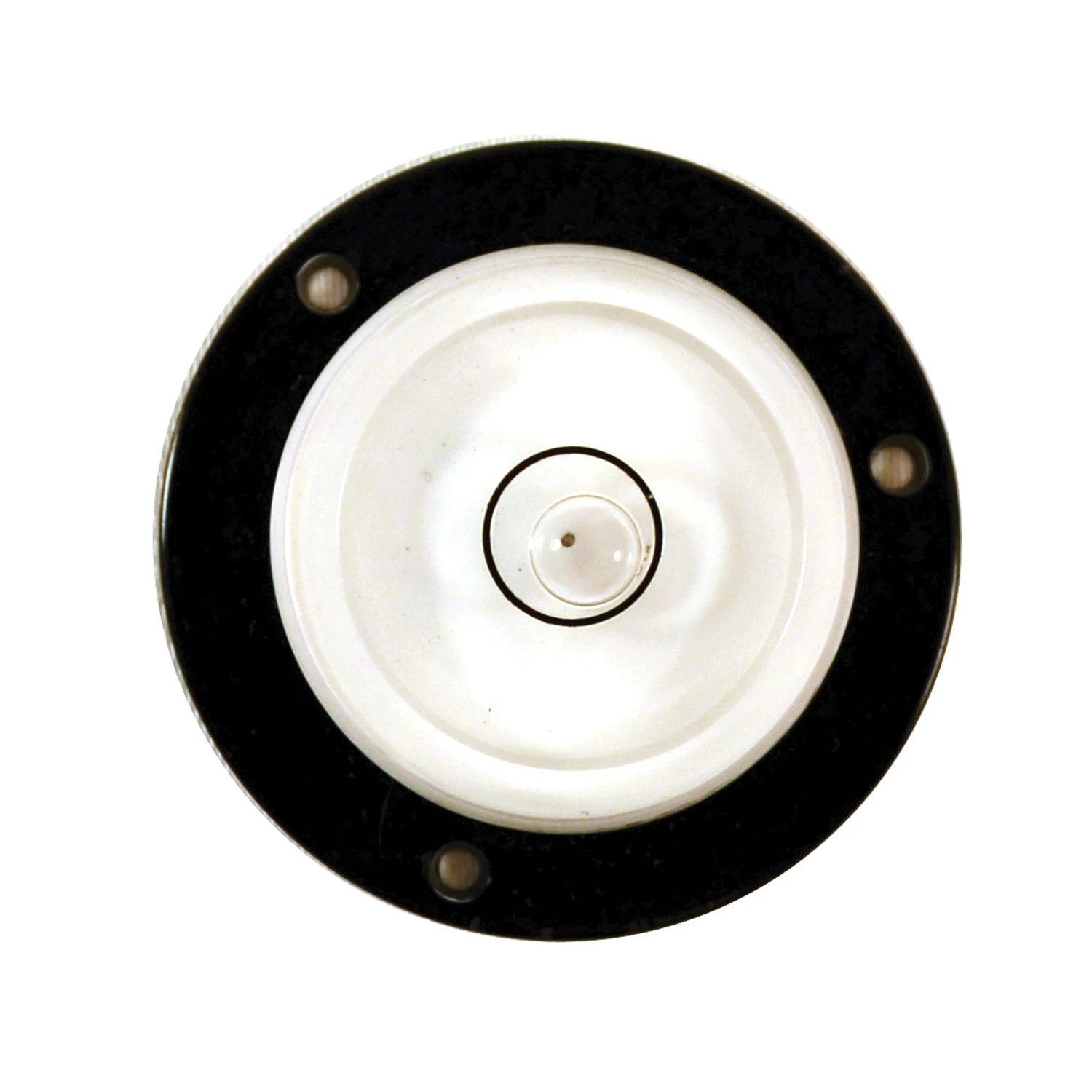 wdbryant4938900