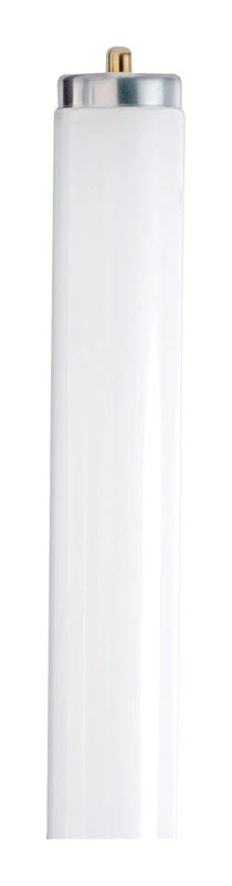 wdbryant5807203