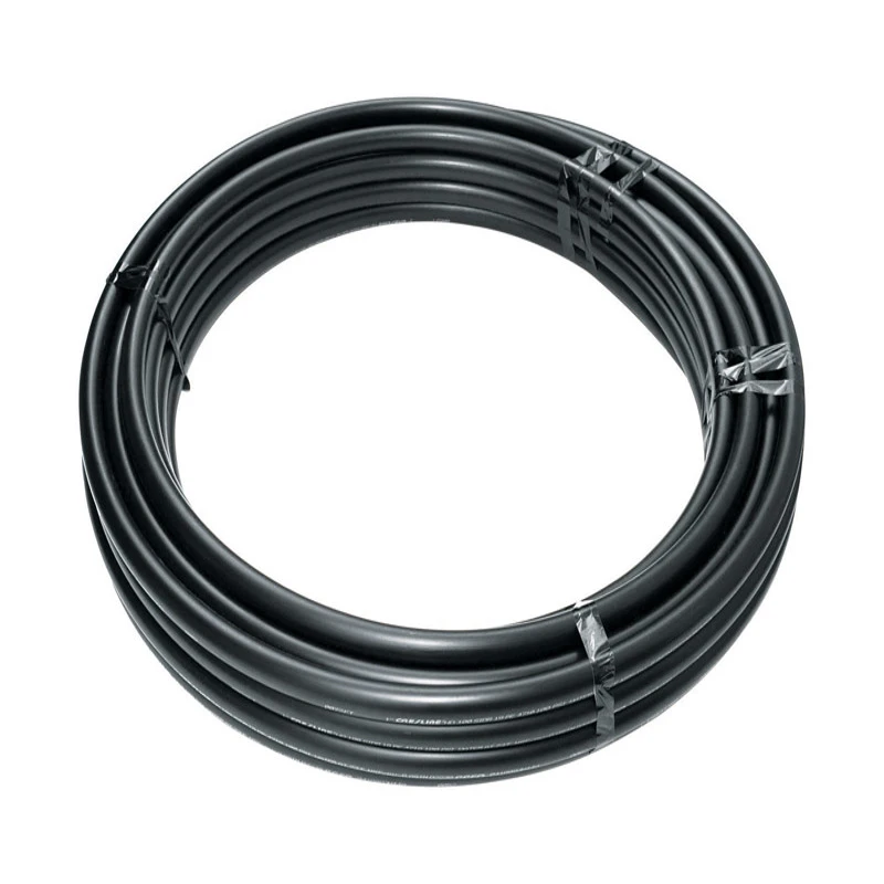 wdbryant5989509