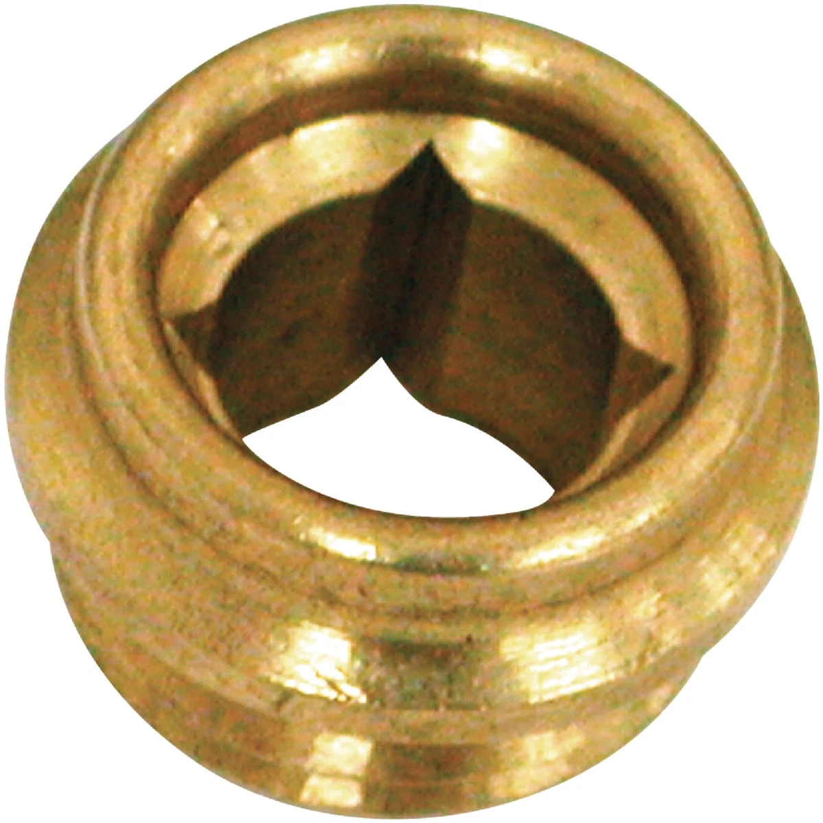 wdbryant6069729